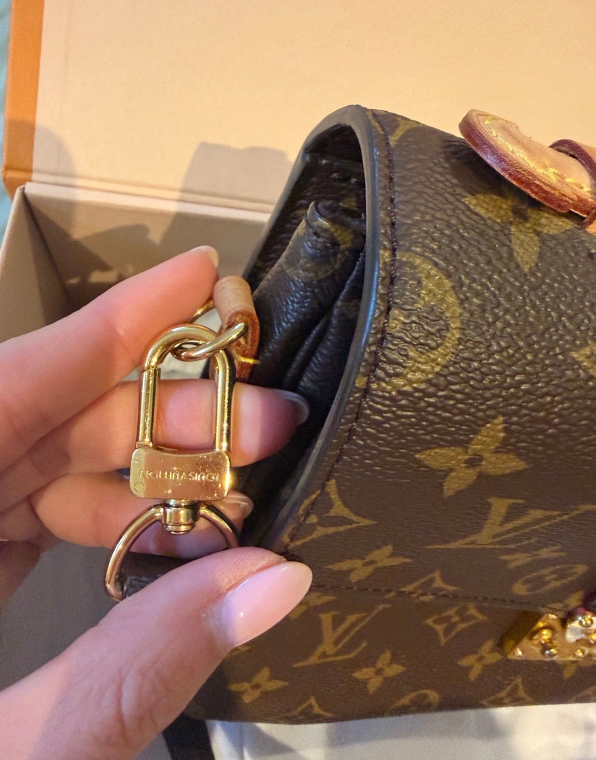 Louis Vuitton Monogram Pochette Métis