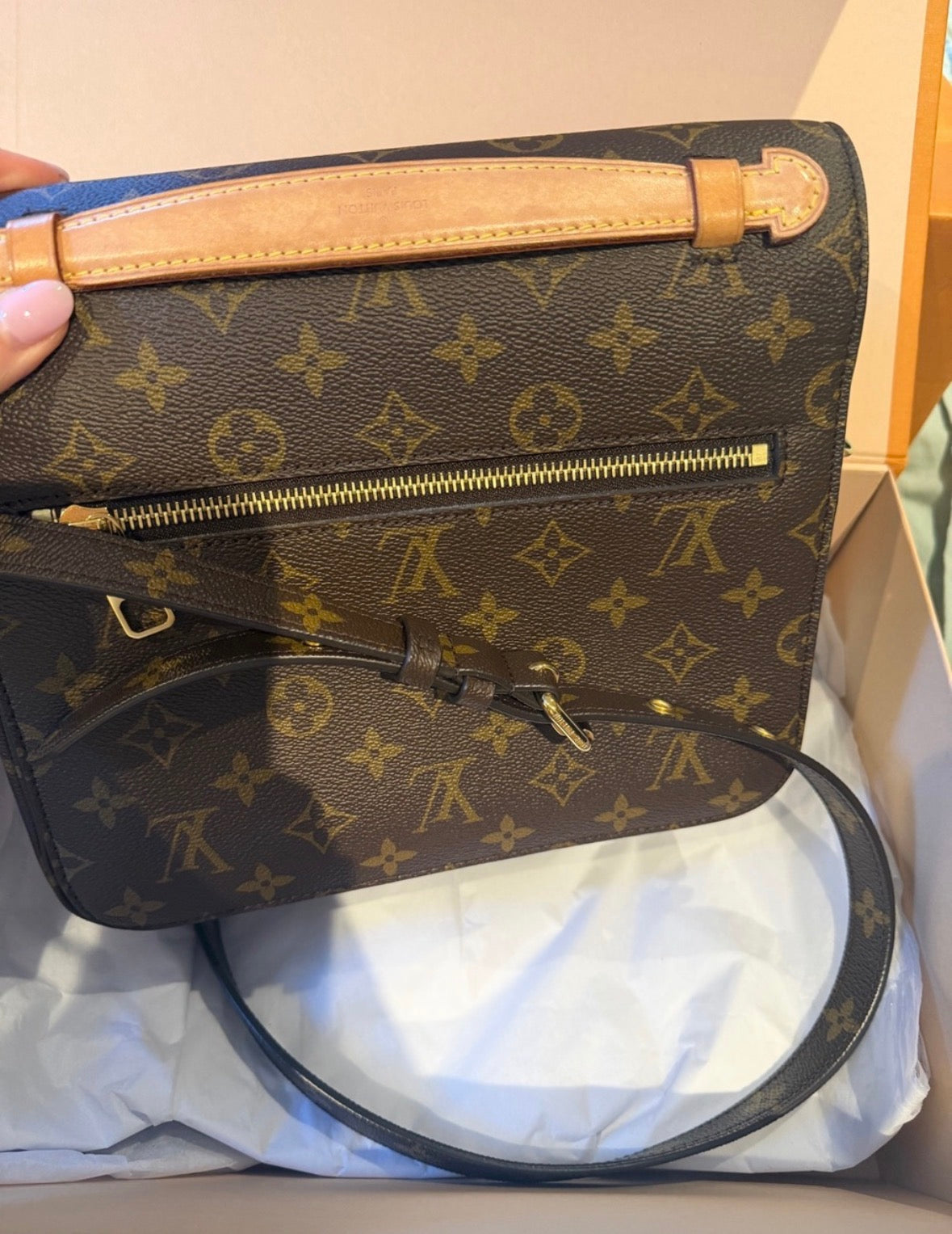 Louis Vuitton Monogram Pochette Métis