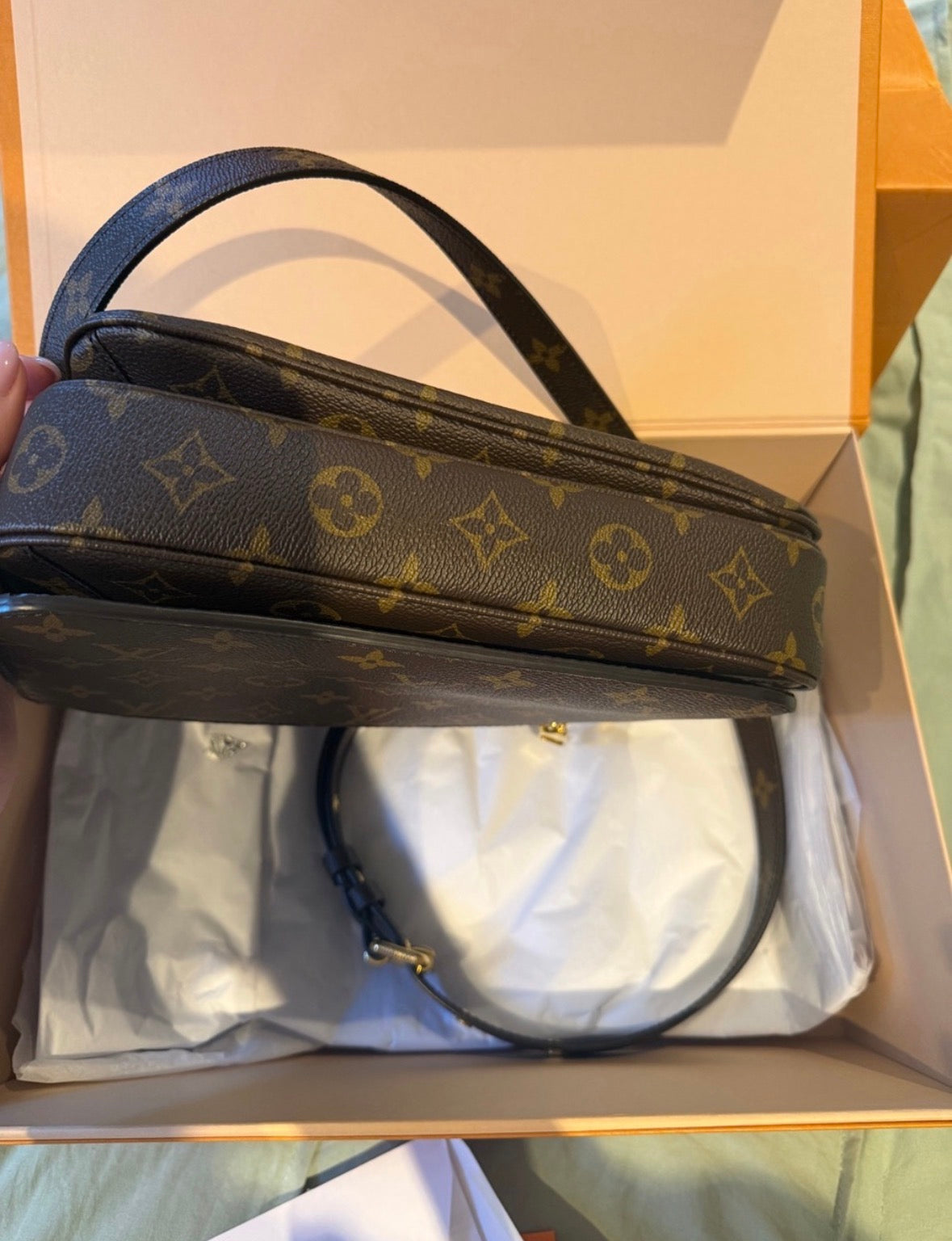 Louis Vuitton Monogram Pochette Métis